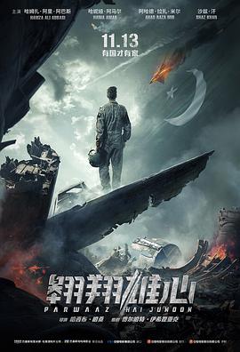 翱翔雄心(普通话版)