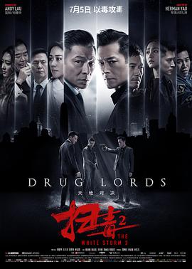 扫毒2天地对决(普通话版)