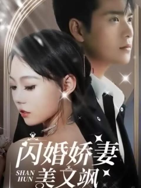 闪婚娇妻美又飒 