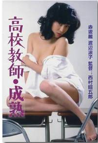 高校教师.成熟