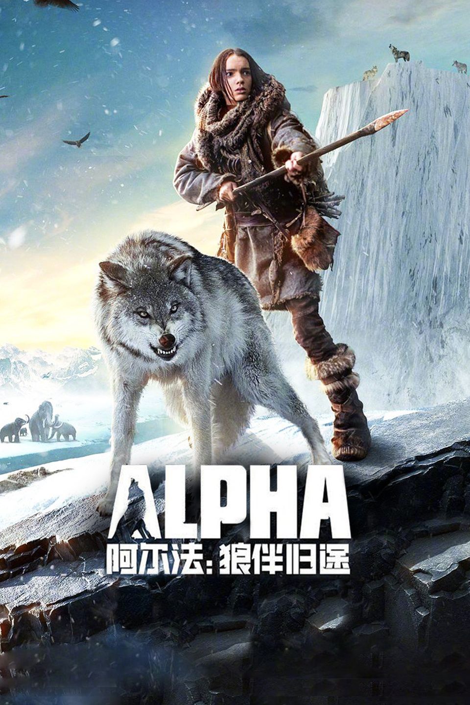 阿尔法:狼伴归途