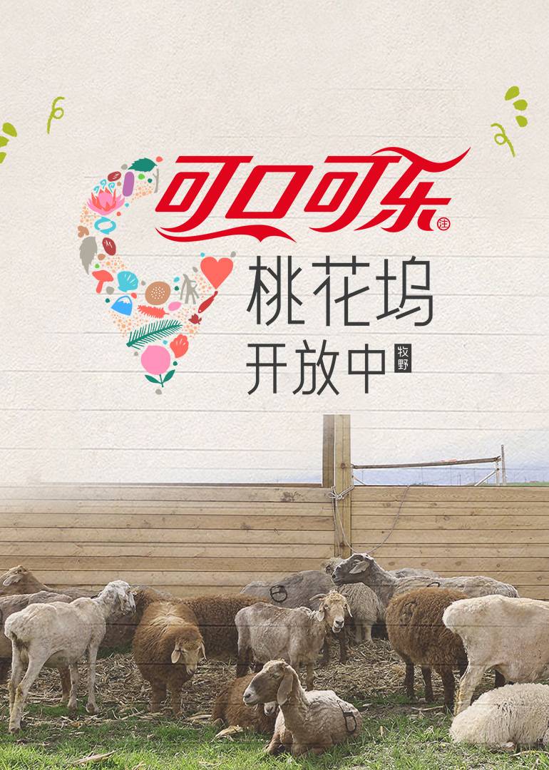 桃花坞开放中 第4季