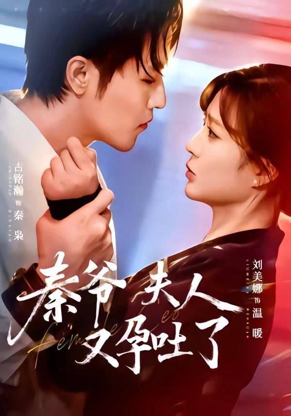 《秦爷夫人又孕吐了》影片海报