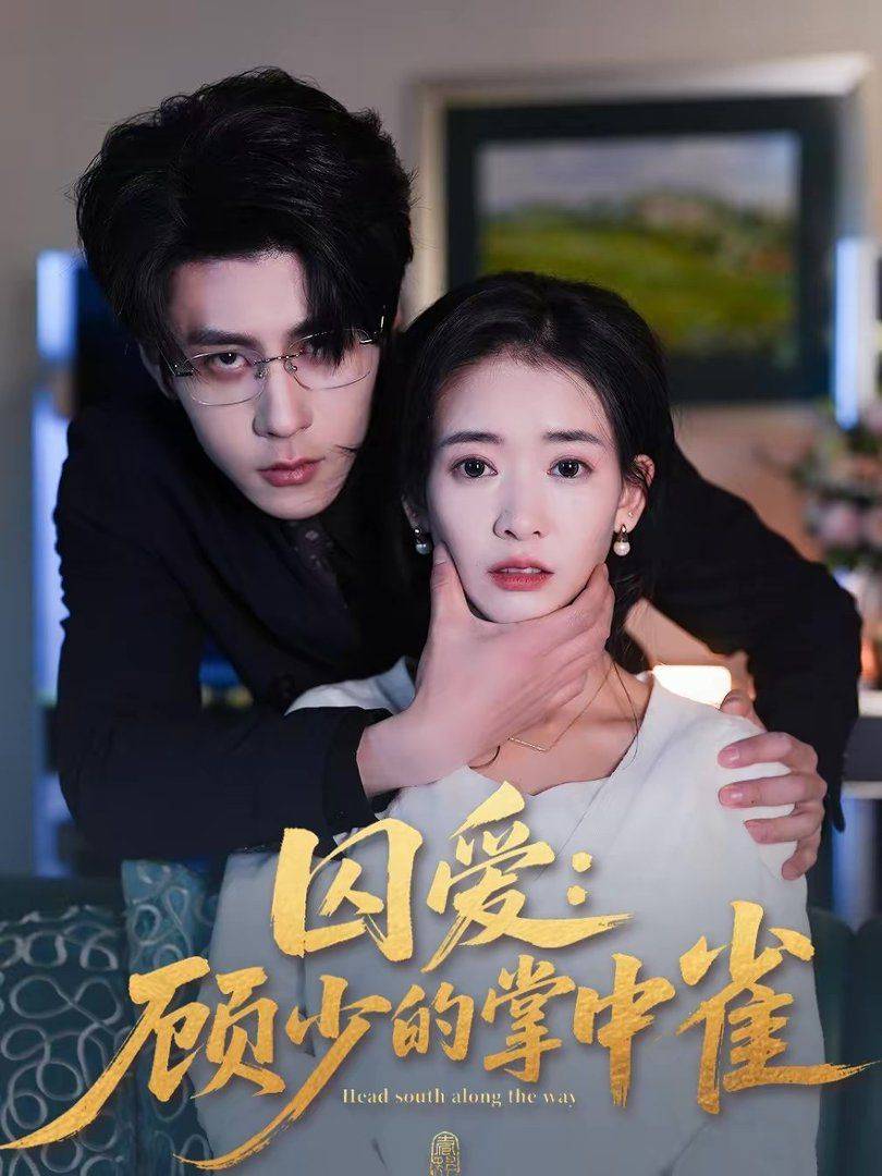 《囚爱：顾少的掌中雀》影片海报