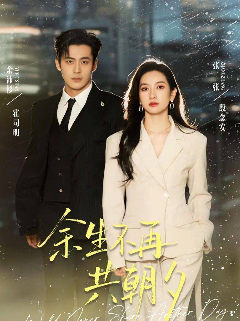 《余生不再共朝夕》影片海报