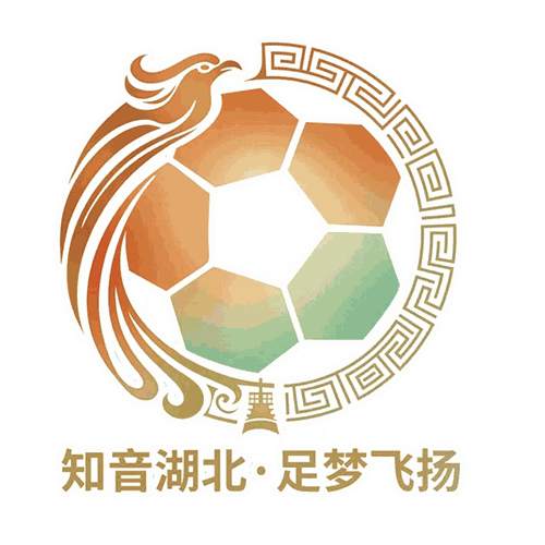 《湖北省城市足球联赛 襄阳东风风神队VS仙桃黄鳝队20260418》影片海报