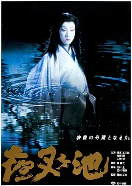《夜叉池[电影解说]》影片海报