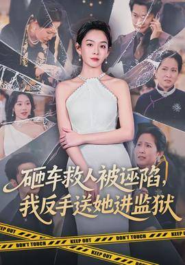 《砸车救人被诬陷，我反手送她进监狱》影片海报