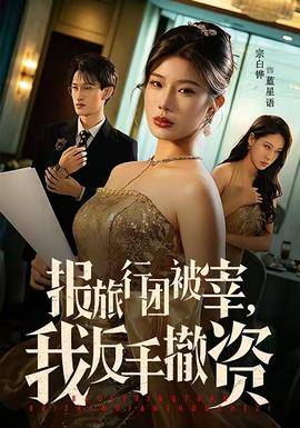 《报旅行团被宰，我反手撤资》影片海报