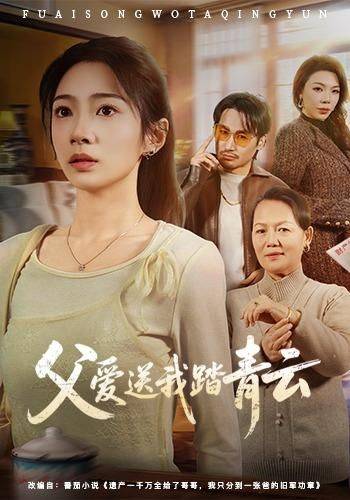 《父爱送我踏青云》影片海报