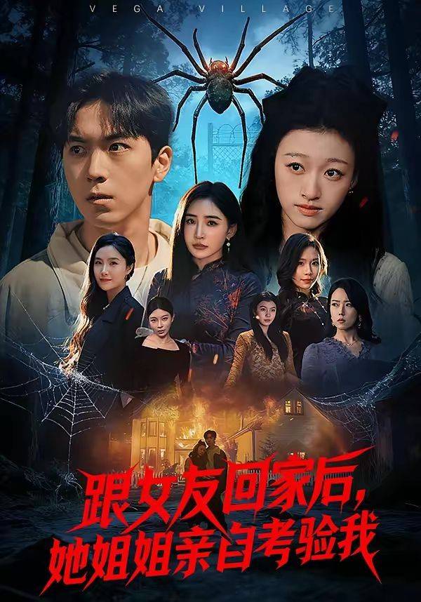 《跟女友回家后，她姐姐亲自考验我》影片海报