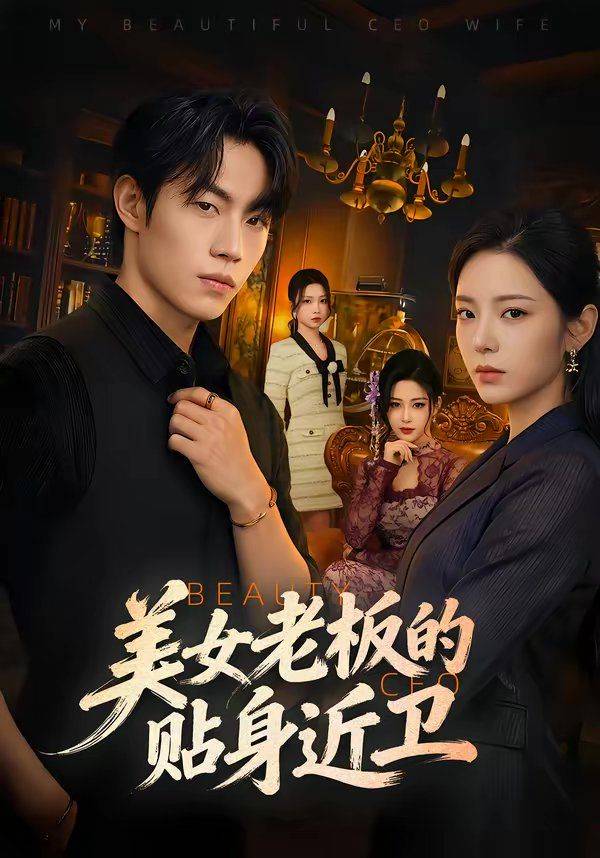 《美女老板的贴身近卫》影片海报