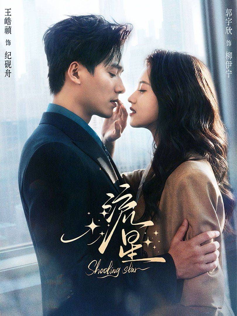 《流星（2026）》影片海报