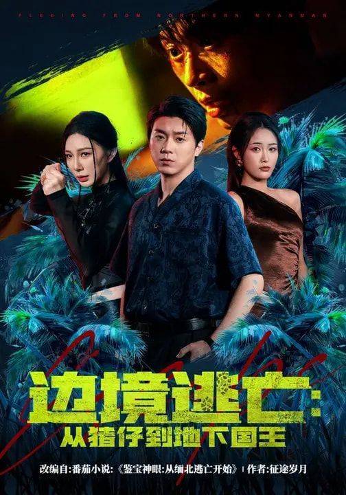 《边境逃亡：从猪仔到地下国王》影片海报