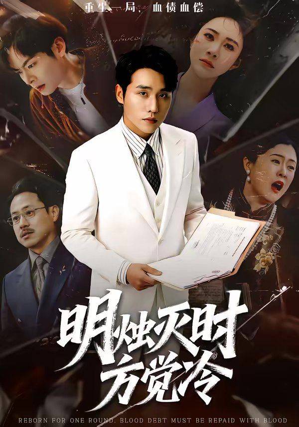 《明烛灭时方觉冷》影片海报