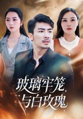 《玻璃牢笼与白玫瑰》影片海报