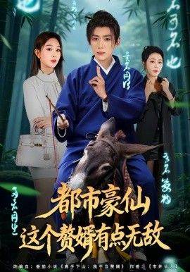《都市豪仙，这个赘婿有点无敌》影片海报