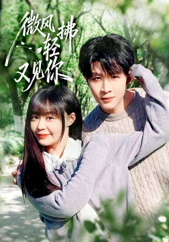 《微风轻拂又见你》影片海报