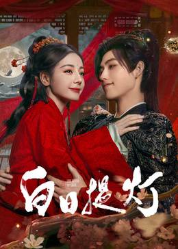 《白日提灯》影片海报