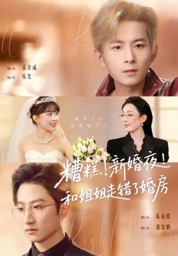 《糟糕！新婚夜！和姐姐走错了婚房(糟糕新婚夜和姐姐走错了婚房)》影片海报