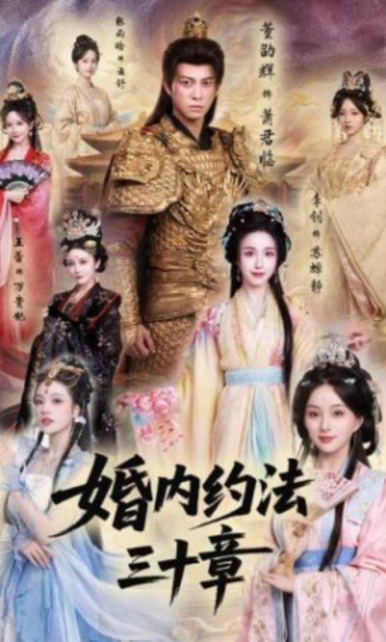 《婚内约法三十章》影片海报