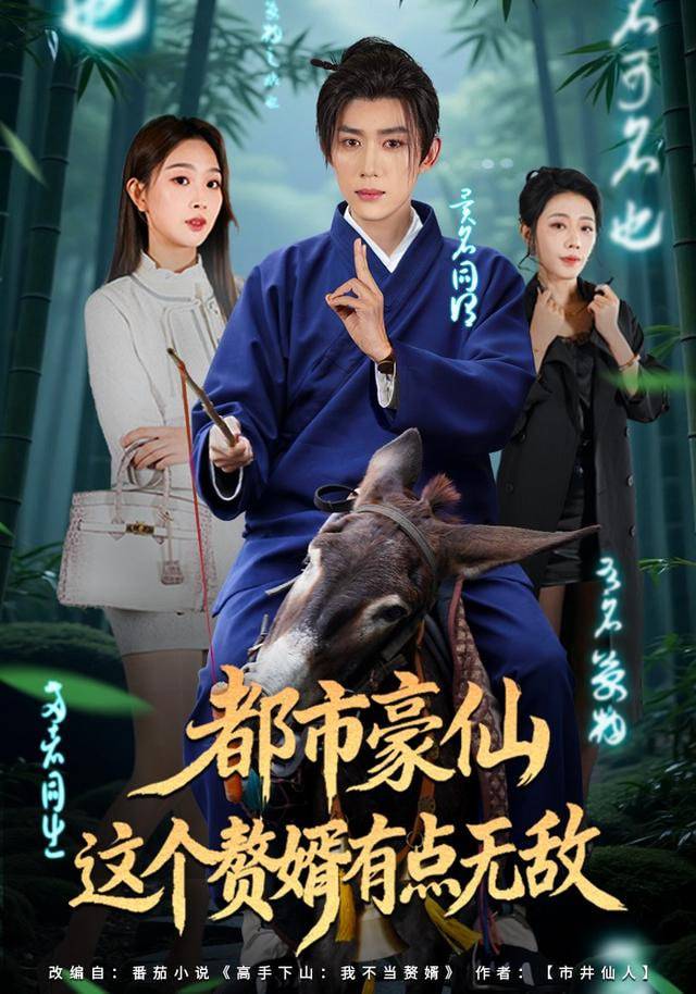 《都市豪仙，这个赘婿有点无敌》影片海报