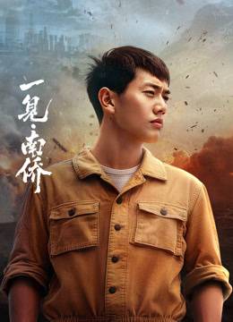 《一见&middot;南侨》影片海报