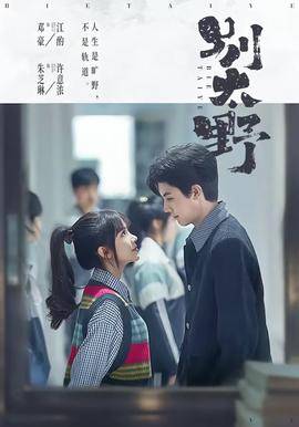 《别太野》影片海报