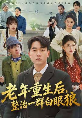 《老年重生后，整治一群白眼狼》影片海报