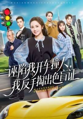 《诬陷我开车撞人，我反手掏出色盲证》影片海报