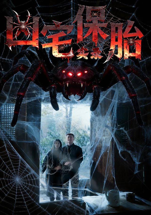 《凶宅保胎实录》影片海报