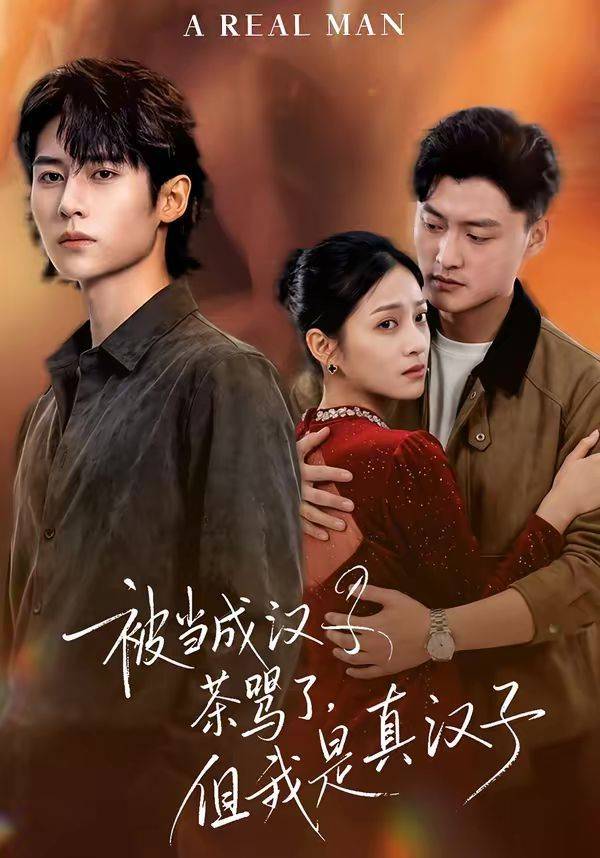 《被当成汉子茶骂了，但我是真汉子》影片海报