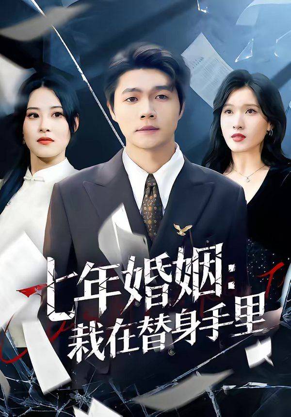 《七年婚姻：栽在替身手里》影片海报