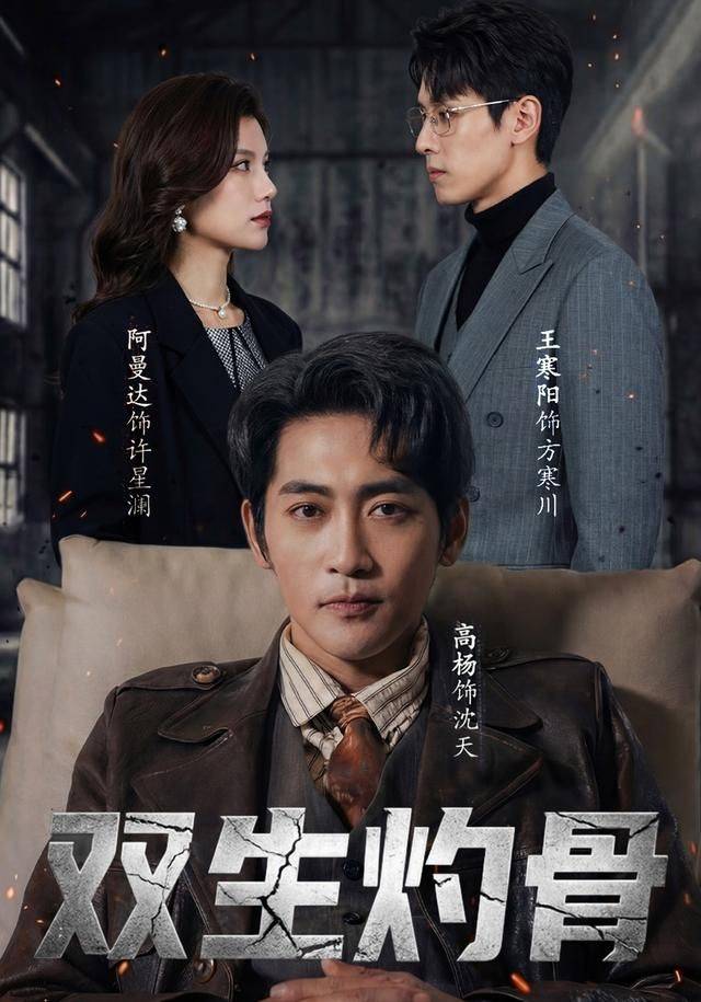 《双生灼骨》影片海报