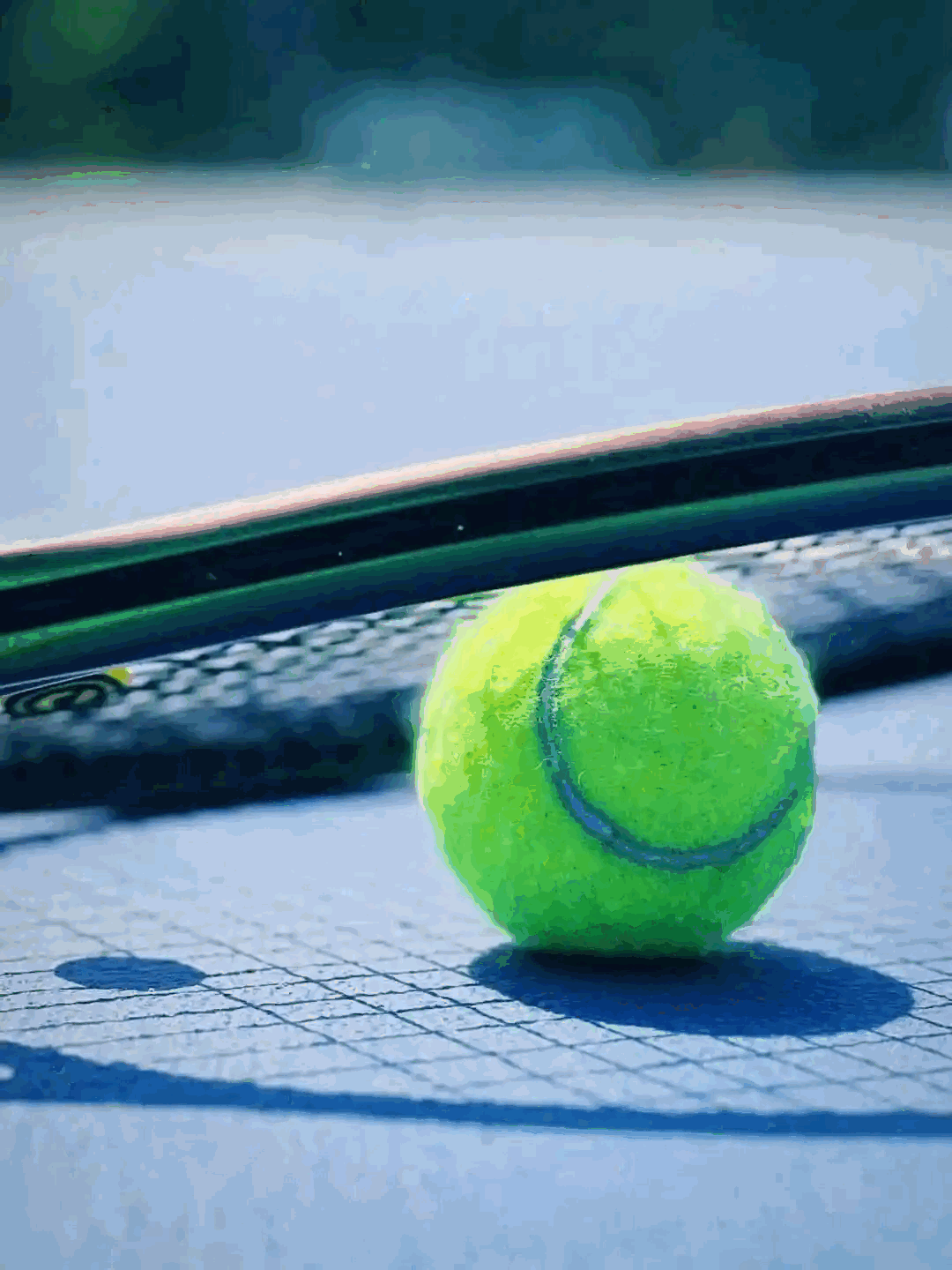 《WTA阿布扎比站第六日：贝莱克VS陶森》影片海报