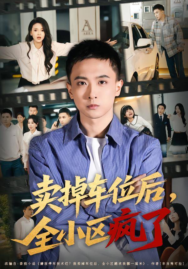 《卖掉车位后，全小区疯了》影片海报