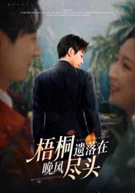 梧桐遗落在晚风尽头