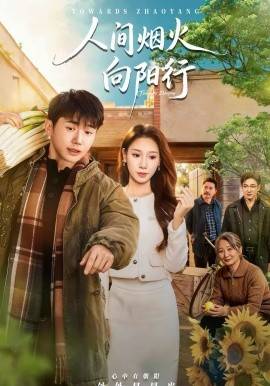 《人间烟火向阳行》影片海报