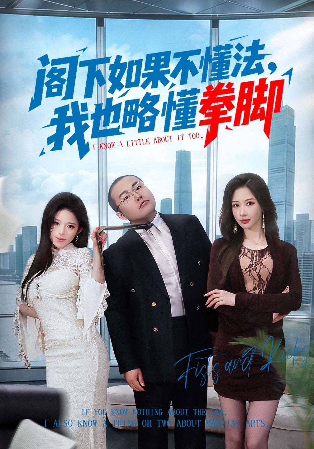 《阁下如果不懂法，我也略懂拳脚》影片海报