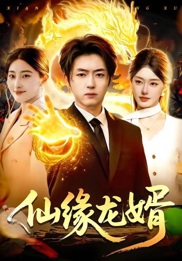 《仙缘龙婿》影片海报