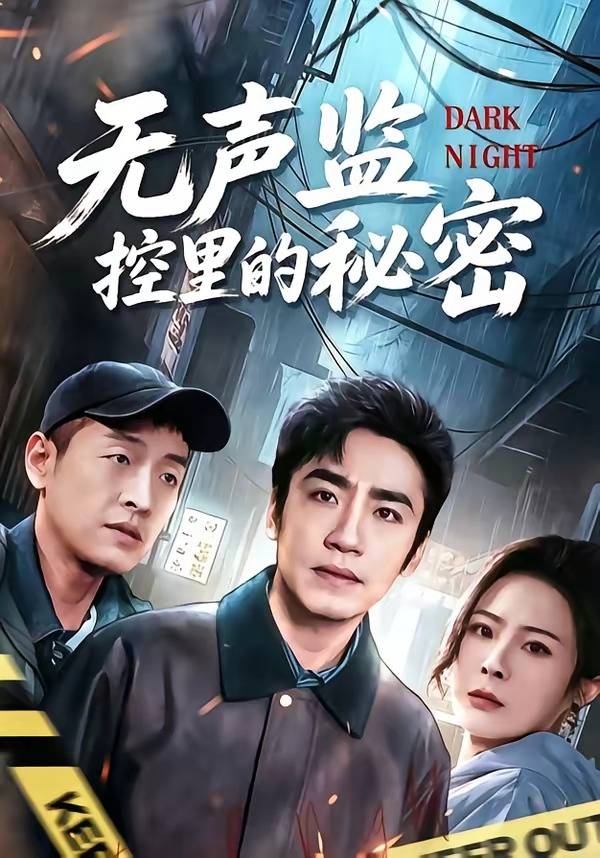 《无声监控里的秘密》影片海报
