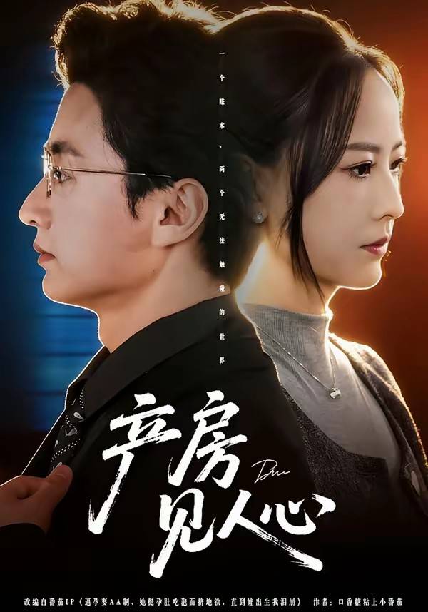 《产房见人心》影片海报