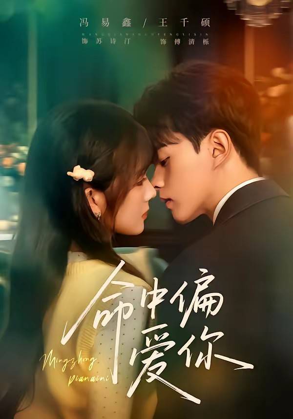 《命中偏爱你》影片海报