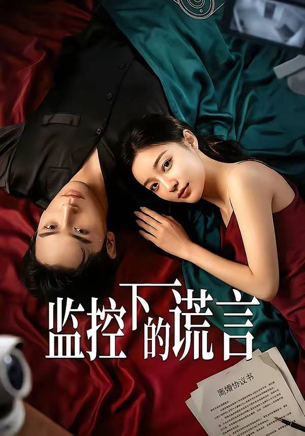 《监控下的谎言》影片海报
