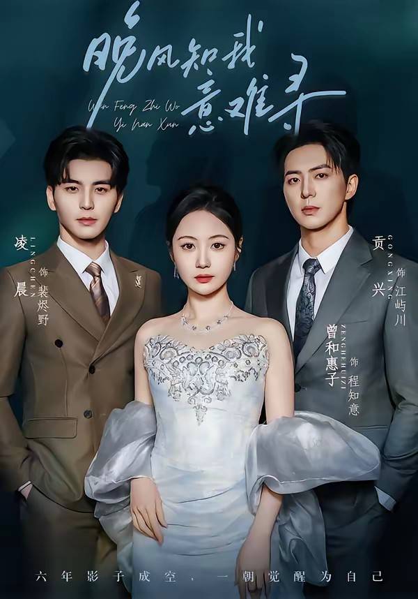 《晚风知我意难寻》影片海报