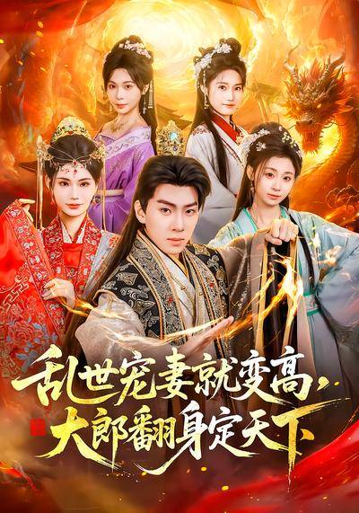 《乱世宠妻就变高，大郎翻身定天下》影片海报