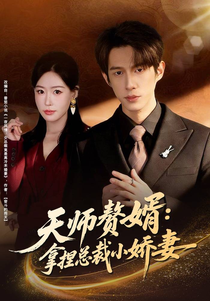 《天师赘婿：拿捏总裁小娇妻》影片海报