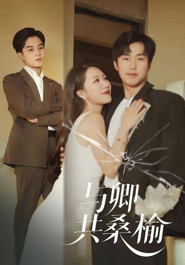 《与卿共桑榆》影片海报