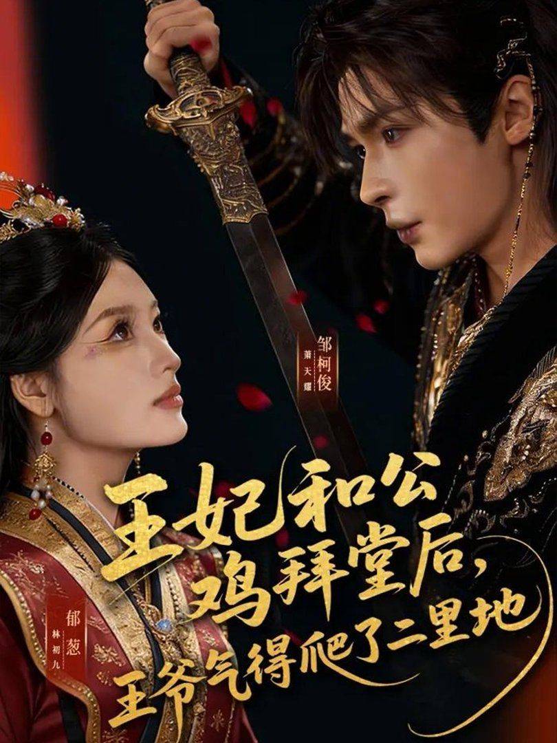 《王妃和公鸡拜堂后，王爷气得爬了二里地》影片海报