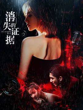 《消失的证据》影片海报